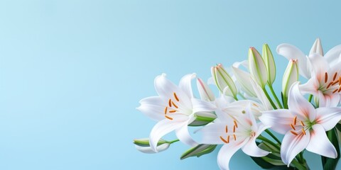 Wall Mural - Spring flowers lily. Bouquet of flowers on pastel background. Valentine's Day, Easter, Birthday, Happy Women's Day, Mother's Day. Flat lay, top view, copy space for text