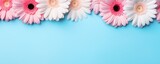 Spring flowers gerberas. Bouquet of gerberas flowers on pastel background. Valentine's Day, Easter, Birthday, Happy Women's Day, Mother's Day. Flat lay, top view, copy space for text