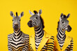 happy zebras wearing clothes on bright solid yellow background