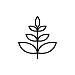 Leaf outline icons, nature minimalist vector illustration ,simple transparent graphic element .Isolated on white background