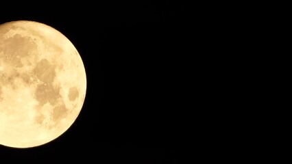 Wall Mural - A glowing golden huge full moon seen from earth through the atmosphere against a starry night sky. A large full moon moves across the sky, the moon moving from the left frame to the right.