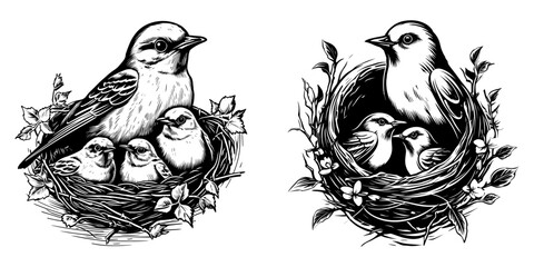 Wall Mural - Mother bird with his baby set, Birds feeding worm to chicks in the nest, vector illustration.