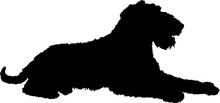 Dog Fox Terrier Lies Silhouette Breeds Bundle Dogs On The Move. Dogs In Different Poses.
The Dog Jumps, The Dog Runs. The Dog Is Sitting. The Dog Is Lying Down. The Dog Is Playing
