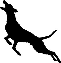 Dog Jumping Silhouette Breeds Bundle Dogs On The Move. Dogs In Different Poses.
The Dog Jumps, The Dog Runs. The Dog Is Sitting. The Dog Is Lying Down. The Dog Is Playing
