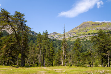 The green countryside among the arid mountains , Europe, France, Occitanie, Hautes-Pyrenees, in summer on a sunny day.