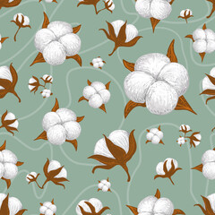 Wall Mural - Hand drawn delicate floral vector seamless pattern. Cotton plant bolls on Grey Teal background. Decorative floral vector illustration for printing on different surfaces.