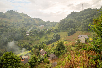 The green and yellow rice fields at the foot of the green mountains, in Asia, in Vietnam, in Tonkin, in Bac Ha, towards Lao Cai, in summer, on a cloudy day.