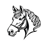 Fototapeta Konie - Freedom in Lines Hand-Drawn Horse Silhouettes and Graphic Engravings - Equestrian Illustration Collection for Business and Artistic Designs
