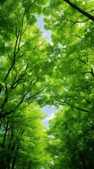 Wall Mural - Green leaves in summer. Lush and bright panorama