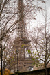 The Eiffel Tower in Paris through the autumn branches of Avenue du Président Kennedy