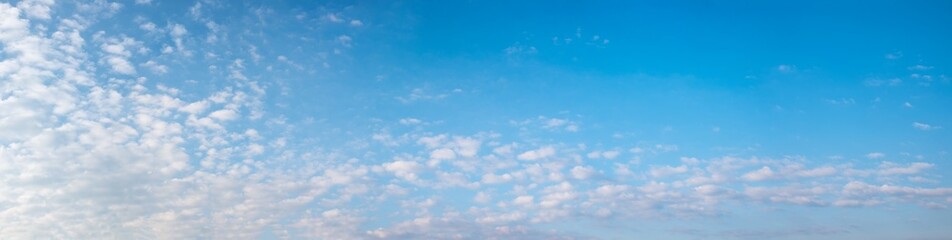 Wall Mural - wide sky panorama with fleecy clouds in the lower half and blue space above