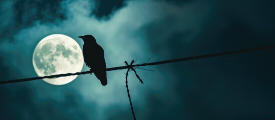 Poster - Nighttime with full moon and bird silhouette perched on electric wire.