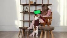 A Dog In A Brown Sweater And A Girl Look At A Screen With Chromakey. A Woman Shows A Tablet To A Jack Russell Terrier. New Year's Greetings. Christmas Concept