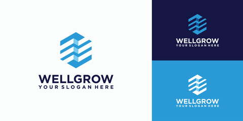 Poster - cube shape letter e growth graph logo design