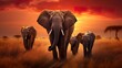 big elephant family walking by sunny savannah at sunset, animals of africa