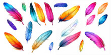 Colorful Bird Feather Watercolor Set Isolated On White Background For Decoration, Card, Invitations