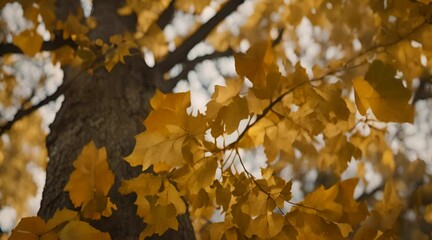 Wall Mural - Autumn leaves on a tree in the forest blowing in the wind