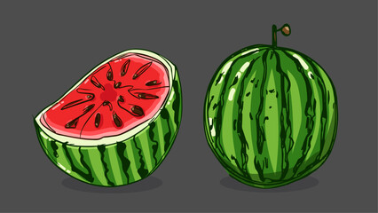 Wall Mural - Set of Watermelon fruit, Vector illustration in one line sketch style, flat hand drawn sketch, Colorful fruit with shadow and light, isolated on colored background.