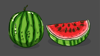 Wall Mural - Set of Watermelon fruit, Vector illustration in one line sketch style, flat hand drawn sketch, Colorful fruit with shadow and light, isolated on colored background.