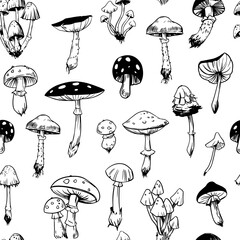 Wall Mural - toadstools, fly agarics, poisonous mushrooms, seamless pattern, vector illustrations. sketch style