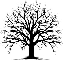 Black Tree Silhouette Isolated On White Background, Vector. AI Generated Illustration.