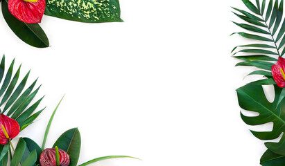 Wall Mural - tropical palm leaf and dieffenbachia, monstera, ficus benjamina, red flowers anthurium on white back
