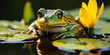 Majestic frog perched on a lily pad in a serene pond at golden hour, surrounded by lush greenery and dandelions