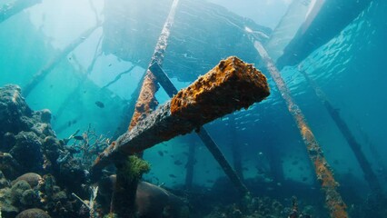 Sticker - Underwater view of the wooden pier in the West Papua, Raja Ampat, Indonesia