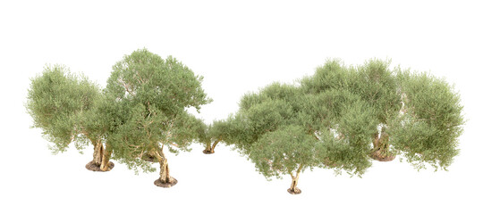 Naklejka na meble Green forest isolated on background. 3d rendering - illustration