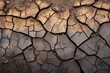 Peats resilience Texture of dry, broken peat with slight moisture