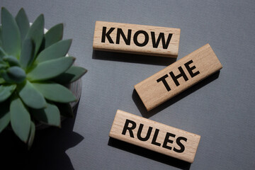 Poster - Know the rules symbol. Wooden blocks with words Know the rules. Businessman hand. Beautiful grey background with succulent plant. Business and Know the rules concept. Copy space.