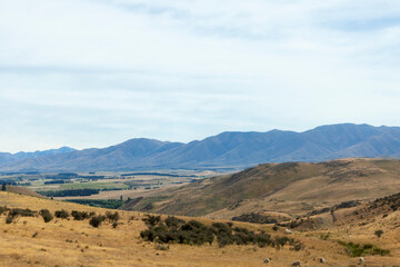 Poster - Rolling Hills, East coast, South Island, New Zealand