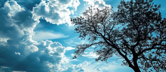 Poster - Sky with clouds and tree in blue.