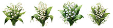 Lily Of The Valley Flowers Hyperrealistic Highly Detailed Isolated On Transparent Background Png File