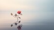 Beautiful red flower on the water with reflection in the morning. Generative AI
