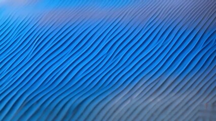 Wall Mural - blue abstract background