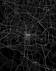 Poster - Raleigh North Carolina Map, Detailed Dark Map of Raleigh North Carolina