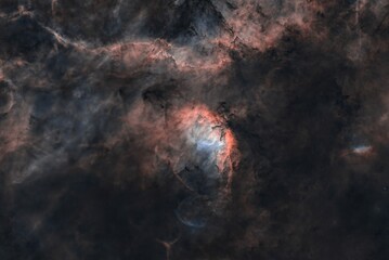 Wall Mural - tulip nebula 5