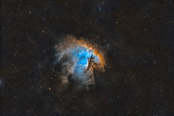 Wall Mural - pacman nebula 1