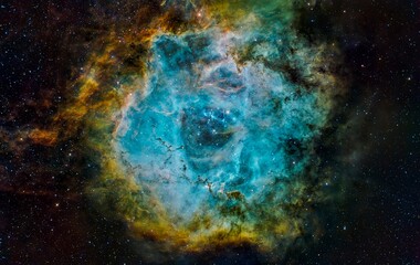 Wall Mural - rosette nebula 1
