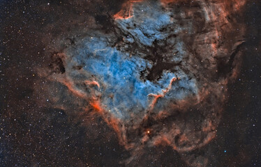 Wall Mural - north american nebula 1