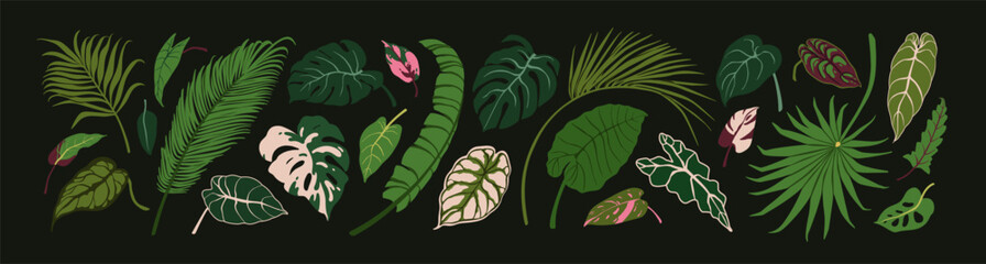 Poster - Green leaf set. Exotic tropical foliage plants, leaves, decorations. Botanical natural decor, greenery. Botanical design elements, alocasia, philodendron, monstera. Isolated flat vector illustrations