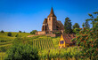 Mixed Protestant and Catholic Church of Saint Jacques le Majeur and grape vines at a vineyard, Hunawihr, a village on the Alsatian Wine Route, France