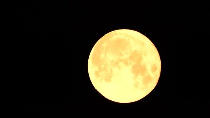 Wall Mural - A glowing golden huge full moon seen from earth through the atmosphere against a starry night sky. A large full moon moves across the sky, the moon moving from the left frame to the right.