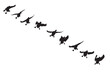 Flying ducks. Natural vector birds. White bacgrund. 