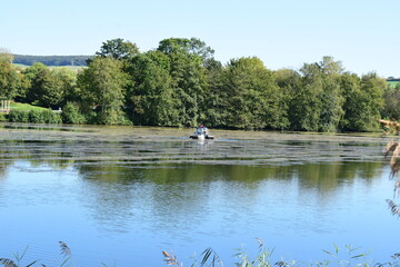 Wall Mural - blue lake in autumn, Lac d'Echternach