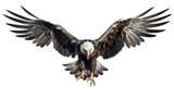 Fototapeta  - Bald american Eagle Isolated on White Background, Adult Flying Eagle Isolated on White Background
