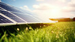 Renewable energy theme with solar panels installed in a lush green field under a clear, sunny sky.