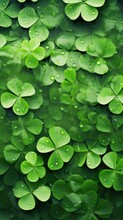Green Shamrock Clover Leaves Background. Saint Patrick's Day Concept. Clovers Illustration, Print For Background, Wallpaper, Template, Web, Poster, Greeting Card, Invitation..