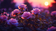Pink and purple rose bush at sunset with bokeh light